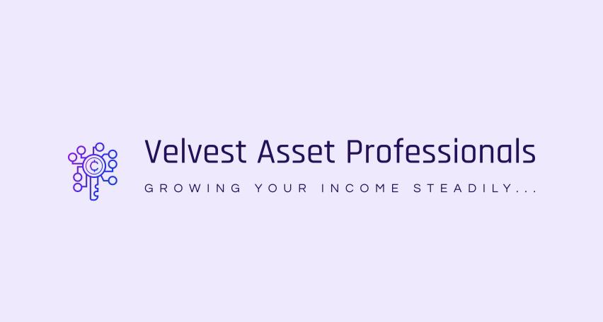 velvestasset professionals investment